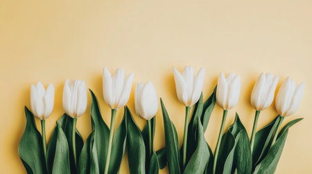 A stunning arrangement of fresh white tulips set against a bright yellow background, perfect for spring-themed projects, floral decor inspiration, and artistic displays.の素材