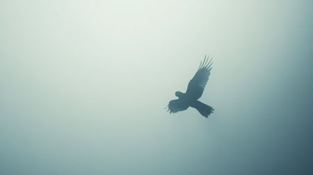 A beautiful silhouette of a bird soaring through a misty atmosphere, evoking feelings of freedom, calm, and tranquility in nature.の素材
