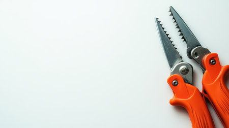 This image showcases a pair of sharp gardening shears with vibrant orange handles against a clean white background. Ideal for gardening enthusiasts and plant care.の素材