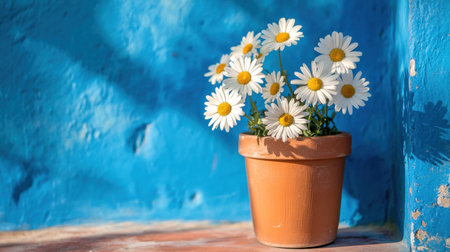 A charming arrangement of bright daisies in a terracotta pot set against a vivid blue wall, creating an uplifting and cheerful atmosphere perfect for spring.の素材
