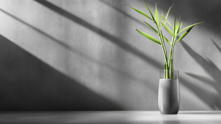 A striking minimalist composition featuring a bamboo plant in a sleek vase, casting long shadows on a textured wall, creating a tranquil and serene atmosphere.の素材