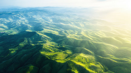 This stunning aerial view showcases rolling hills covered in vibrant greenery, illuminated by soft sunlight during the golden hour, creating a serene landscape.の素材