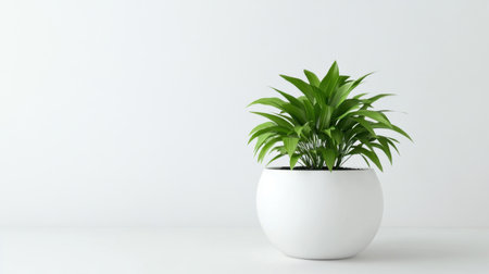 A beautiful indoor plant sits in a sleek white pot, showcasing vibrant green leaves against a minimalistic background, ideal for contemporary spaces.の素材