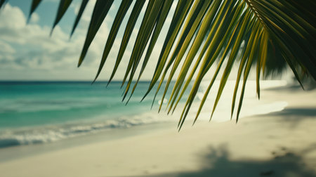 A tranquil scene depicting a tropical beach with vibrant palm fronds framing the view of a calm ocean and a clear, sunny sky, ideal for relaxation.の素材