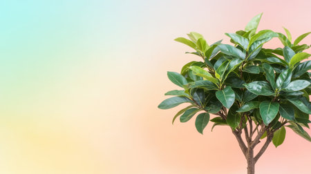 A vibrant indoor plant with lush green leaves is set against a soft, colorful background. Perfect for enhancing home decor, office spaces, and promoting wellness.の素材