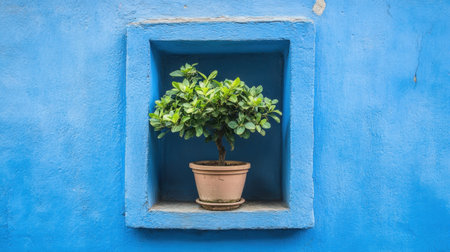 A vibrant green plant in a terracotta pot is beautifully showcased in a blue wall niche, enhancing any space with a touch of nature and tranquility.の素材