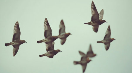An enchanting scene showcasing a flock of birds soaring gracefully against a soft blue sky, capturing the essence of freedom and natural beauty.の素材