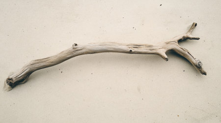 A solitary driftwood piece rests on soft sand, showcasing the natural textures and shapes created by time. Perfect for nature-themed projects.の素材