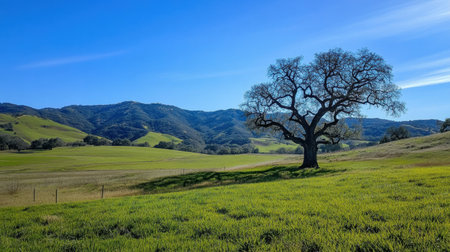 A breathtaking landscape featuring a solitary oak tree standing majestically on lush green hills under a vibrant blue sky. Ideal for nature lovers.の素材
