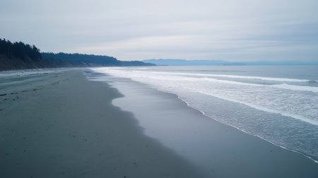 A tranquil coastal beach scene featuring gentle waves lapping at the smooth sand under an overcast sky, perfect for evoking peace and relaxation.の素材