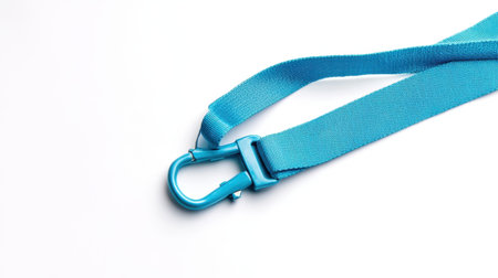 This image features a bright blue pet leash designed for dog walking and training, highlighting its durable material and practical clasp on a white background.の素材