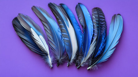 A stunning collection of vibrant blue feathers displayed artistically on a bright purple background, ideal for creative projects and nature themes.の素材