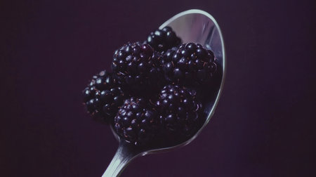A striking close-up image of fresh blackberries resting on a silver spoon, set against a dark, moody background. Ideal for food-related themes.の素材