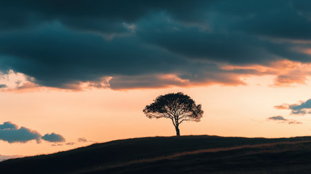 A striking silhouette of a solitary tree on a hill captured at sunset, showcasing dramatic clouds and warm colors in the sky, evoking calmness and solitude.の素材