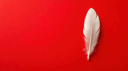 A stunning close-up of a delicate white feather elegantly placed on a bold red background, showcasing simplicity and beauty in a minimalistic design. Perfect for creative projects.の素材