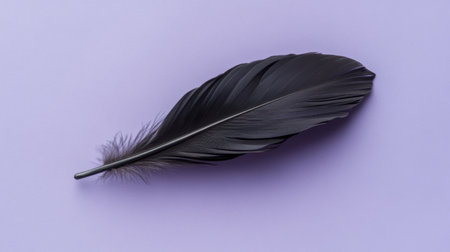 A stunning black feather resting on a soft purple background. This image embodies elegance and simplicity, perfect for creative and artistic projects.の素材