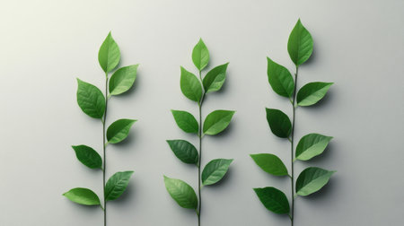 A collection of fresh green leaves arranged on a minimalist background, showcasing various shapes and sizes ideal for nature-inspired projects.の素材
