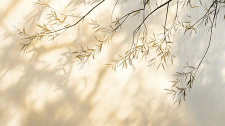 This image features the soft shadows of bamboo leaves gracefully cast on a textured wall, evoking a sense of tranquility and warmth in nature.の素材