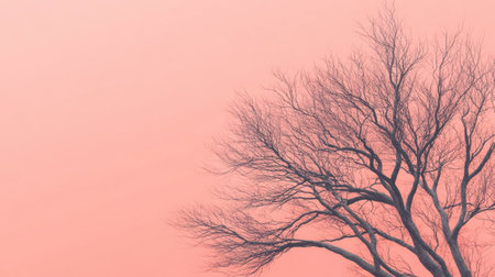 A tranquil silhouette of a bare tree stands against a soft pink gradient background, evoking a sense of peace and solitude during dusk.の素材