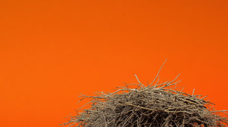 A minimalist composition featuring a pile of twigs against a vibrant orange background, ideal for nature-related concepts and abstract photography.の素材