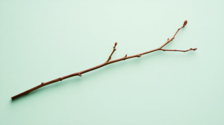 A delicate branch with budding leaves resting on a soft mint background, creating a peaceful and minimalist composition perfect for design and nature-themed projects.の素材