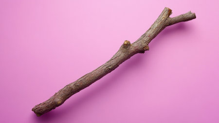 A rustic wooden stick rests on a vibrant pink background, showcasing its natural texture and earthy tones. Ideal for creative projects and nature-themed designs.の素材