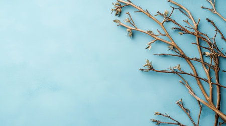 A serene representation of delicate brown branches with green leaves arranged artistically on a soft blue backdrop, perfect for nature-inspired design.の素材