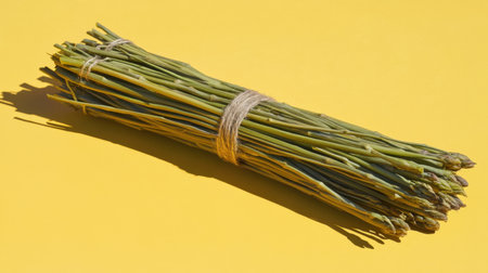 A vibrant bundle of fresh green asparagus tied with natural twine, set against a bright yellow background, showcasing its texture and shadows beautifully.の素材