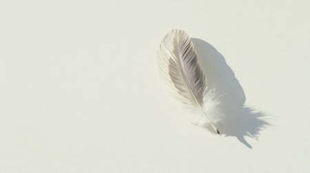 A delicate white feather rests on a light background, casting a soft shadow that highlights its texture and elegance, perfect for minimalistic designs.の素材