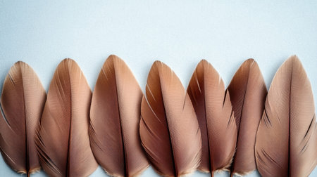 A stunning arrangement of delicate brown feathers against a soft light background, perfect for artistic projects and natural-inspired designs.の素材