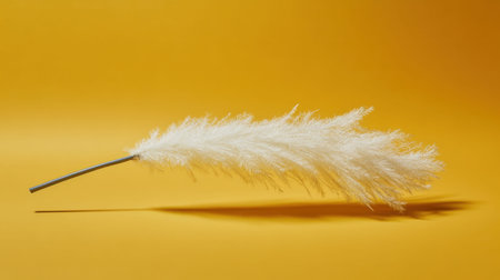 A delicate white pampas grass stem gracefully rests against a bold yellow background, highlighting the beauty of natural elements in modern decor.の素材