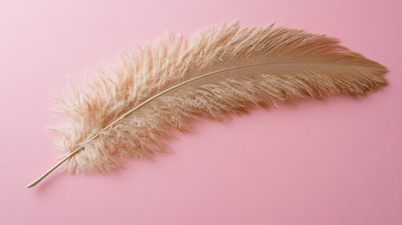 A soft beige feather gracefully rests on a light pink background, creating a gentle contrast. This image is perfect for artistic projects and minimalistic design.の素材
