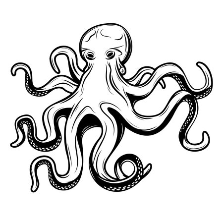 Octopus. Hand drawn vector illustration. Isolated on white background.のイラスト素材