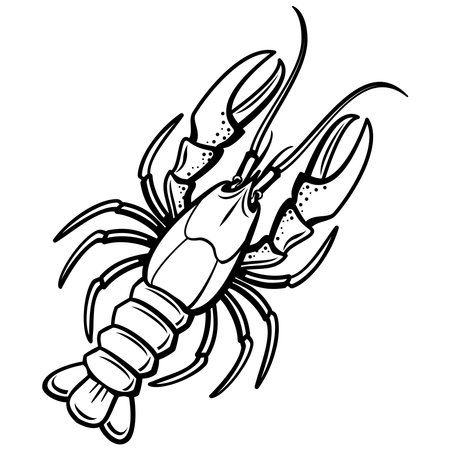 Lobster - Black and White Cartoon Illustration, Vector Artのイラスト素材