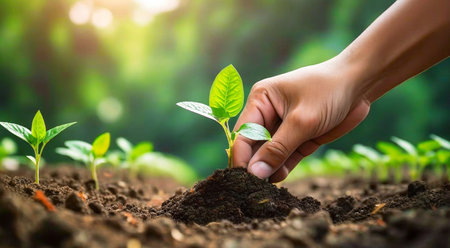 Human hand planting seedling on fertile soil with green bokeh backgroundの素材