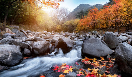 Beautiful autumn landscape with mountain river and colorful forest at sunset.の素材