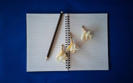Pencil and flowers on a notebook on a blue backgroundの写真素材