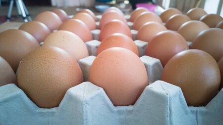 Gray tray of eggs with many eggsの写真素材