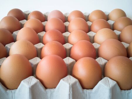 Gray tray of eggs with many eggsの写真素材