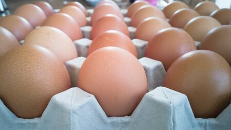 Gray tray of eggs with many eggsの写真素材