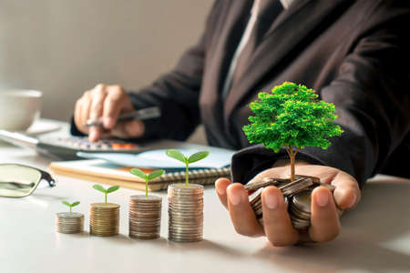 A growing tree on a pile of money in the hands of a businessman and a tree growing on a stack of coins financial ideas and financial growth.の写真素材