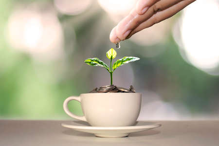 A tree growing on a pile of money in a white coffee cup, including a hand that watered the plants, ideas for financial growth and money saving.の写真素材