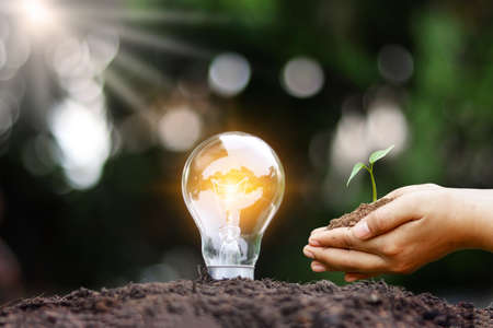 Energy-saving lamps that illuminate the ground, including the hands that hold the plants, energy and energy-saving concepts.の写真素材