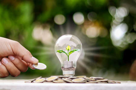 The tree grows in the light bulb on top of the coin pile, including the hand holding the coin, energy saving and money saving ideas.の写真素材