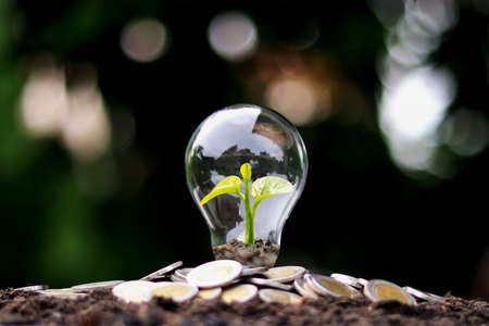 The tree grows on money in energy-saving light bulbs, the concept of financial growth, energy saving and environmental protection on Earth Day.の写真素材