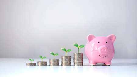 Coin graph shows financial growth and growing trees on coin stacks, including piggy bank, money saving ideas and financial growth.の写真素材