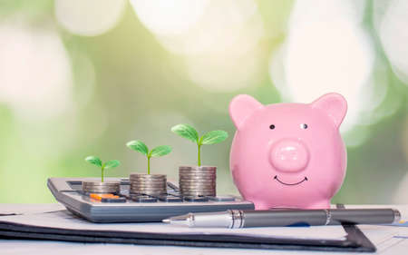 Plant a green tree on a pile of money and calculator for financial growth and money saving ideas.の写真素材