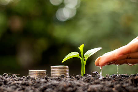 Farmers are watering the young plants by hand, including the coins on the ground, based on the idea of saving money and growing.の写真素材