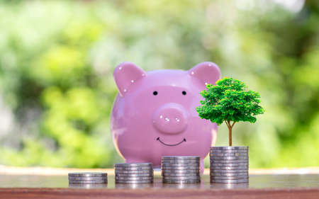 Trees that grow on piles of coins and piggy banks to save money, ideas and financial growth.の写真素材