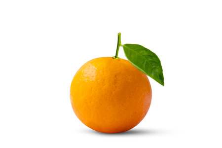 Oranges fruits with high vitamin C and green leaves, isolated on a white backgroundの写真素材